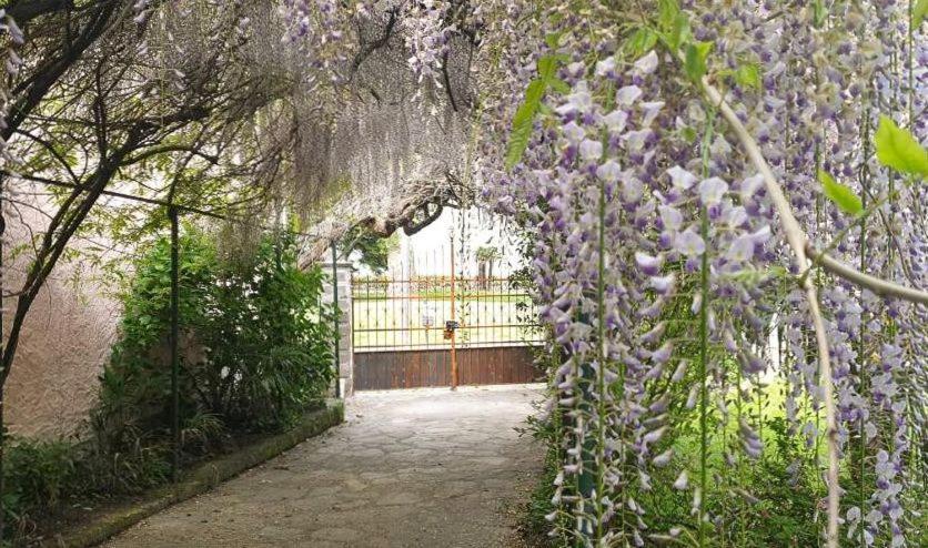 Villa Lago Foreground - Pet Friendly Stay- Garden-Parking-Lake View- Bike Friendly Holiday House Colico Εξωτερικό φωτογραφία